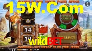Welcome Bonus wildbet