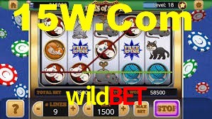 Basketball Betting wildbet