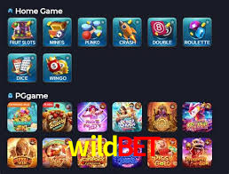 Game Providers wildbet