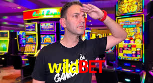 Game Statistics wildbet
