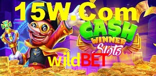 Spaceman Game wildbet