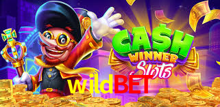 Crash Games Statistics wildbet