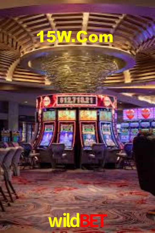 wildbet App Interface