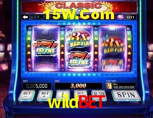 Segurança 2FA wildbet