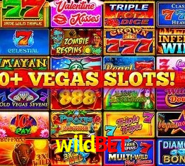 Login Seguro wildbet