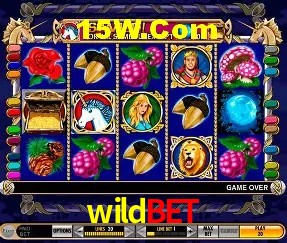 wildbet: Seu Cassino Premiado com Pagamentos Rápidos