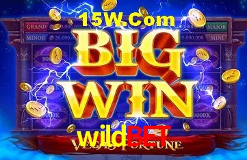 Sistemas de Segurança wildbet