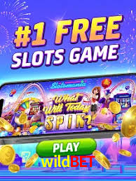 Account Benefits wildbet